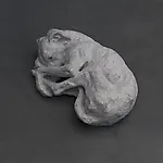 H�kon Anton Fager�s: Et hundeliv, 2017, 18x48 x 32 cm