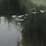 Halvard Haugerud: Kveld i august, 2023, 68 x 80 cm