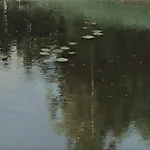 Halvard Haugerud: Sommerkveld, 2021, 24 x 28 cm