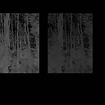 Cameron Martin: inverse 2, 2012, 61 x 46 cm