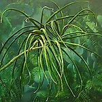 Frank Brunner: Botanisk hage I, 2001, 76 x 85 cm