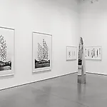 Espen Dietrichson: Installation view 2, 2015