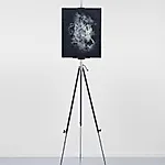 Ole J�rgen Ness: Nature Morte, 2015, 180 x 50 cm