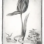 Sverre Malling: The blossoms we wear in our hats II, 2017, 19 x 12,5 cm