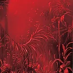 Frank Brunner: And this also... #9, 2002, 108 x 90 cm