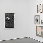 Rina Charlott Lindgren: Installation view, 2016