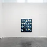 Frank Brunner: Installation view, 2016