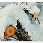 Astrid Nondal: Separated, 2024, 54 x 73 cm