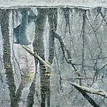 Frank Brunner: 45� Central Park #1, 2005, 170 x 233 cm