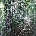 Henrik Kleppe Worm-M�ller: Come back, 2016, 170 x 120 cm