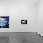 Frank Brunner: Installation view, 2016