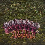 Terje Ythjall: ...om dette merkelige med naturen..., 2021, 88 x 100 cm
