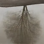 Halvard Haugerud: Speiling, 2024, 43 x 50 cm