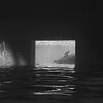 Petter Heps�: Uten tittel, c-print, 2014, 80 x 120 cm