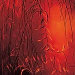Frank Brunner: And this also... #3, 2002, 121 x 78 cm
