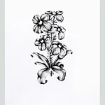 H�vard Kranstad: Blomst, 2025, 59 x 42,7 cm