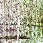 Frank Brunner: Ecko II, 2008, 146 x 200 cm
