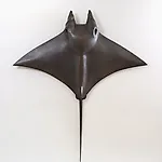 Petter Heps�: En face VI, 2011, 212 x 193 cm