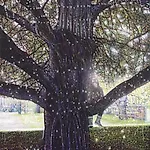Henrik Kleppe Worm-M�ller: Tree of hope, 2016, 200 x 150 cm