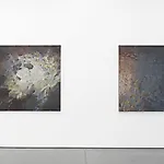 Thomas S�verud: Installation view 4, 2025