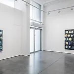 Frank Brunner: Installation view, 2016