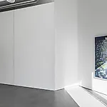 Frank Brunner: Installation view, 2016