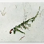 Astrid Nondal: Too Early, too Late, 2024, 105 x 145 cm