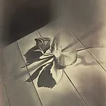 Ulf Nilsen: Rose is a rose is a rose is a rose III, 2013, 100 x 50 cm